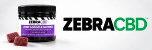 zebracbd gummies for pain